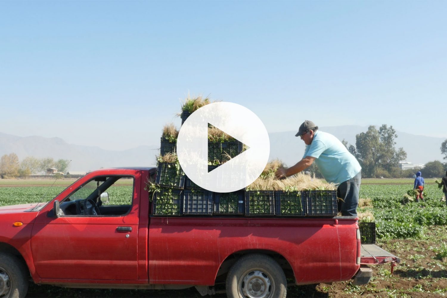 2020_05 Agricultura Familiar Campesina VIDEO THUMNAIL