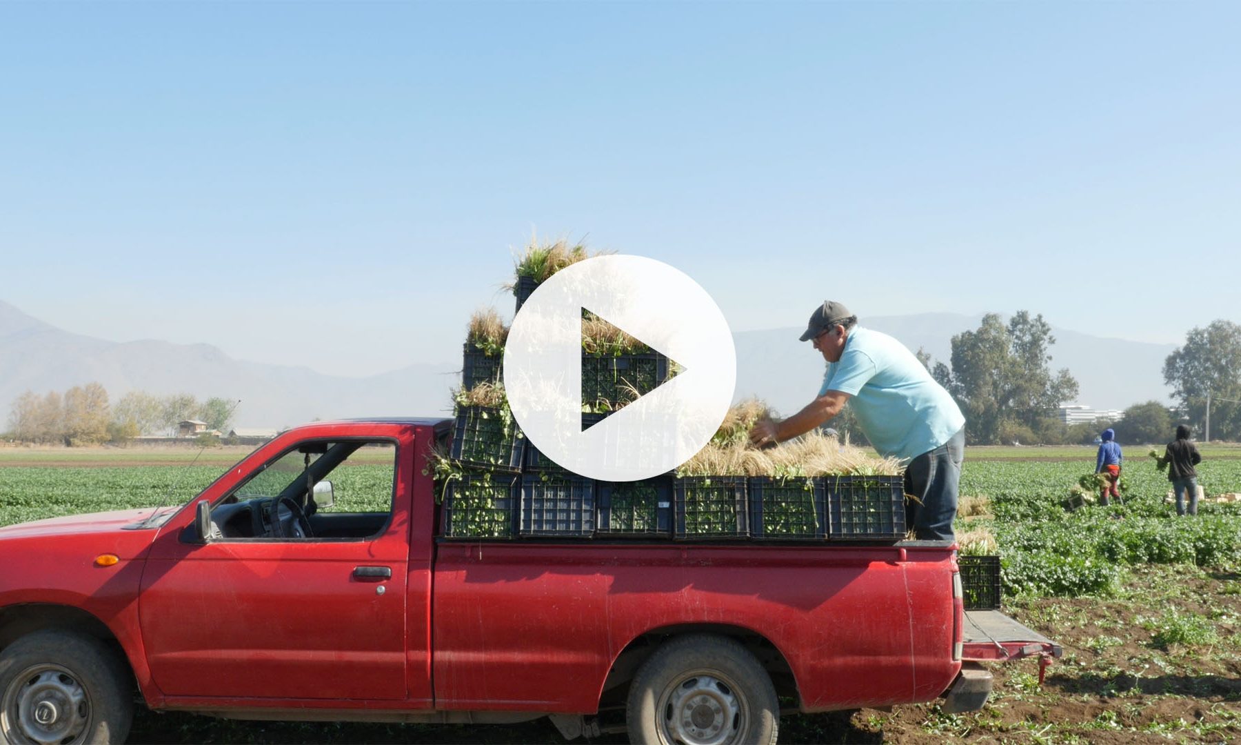 2020_05 Agricultura Familiar Campesina VIDEO THUMNAIL