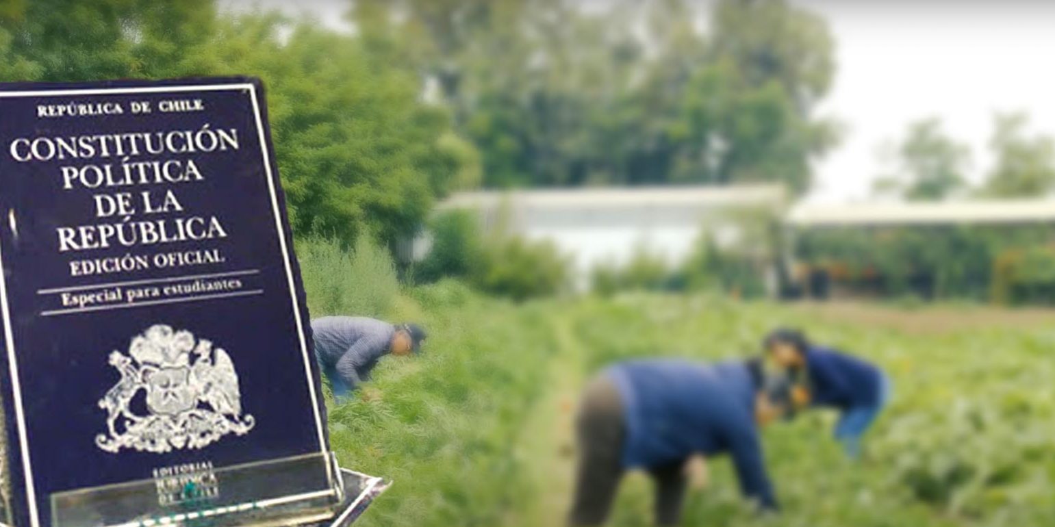 Carta abierta nueva constitucion conagro 2