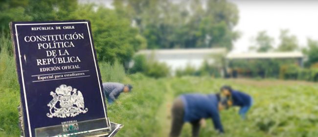 Carta abierta nueva constitucion conagro 2