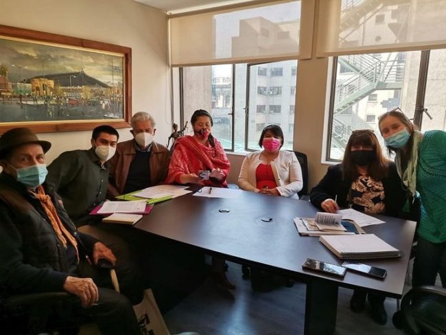 2021_08_11 Reunión con Convencional Constituyente Elsa Labraña