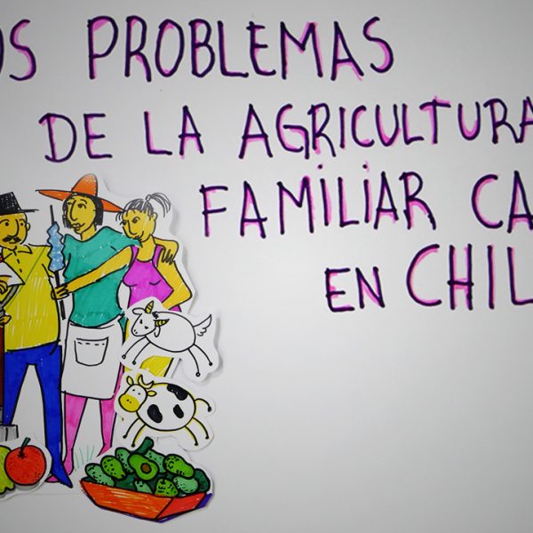 Problemáticas de la Agricultura Familiar Campesina