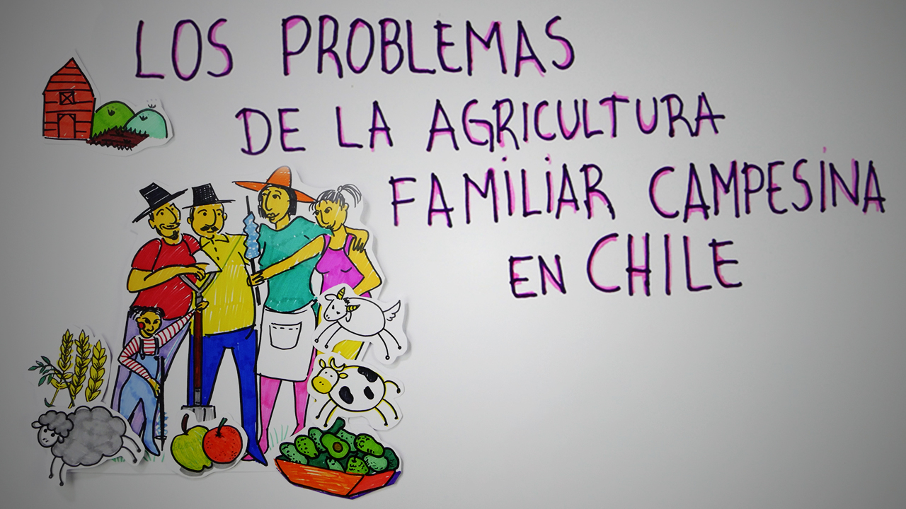 Problemáticas de la Agricultura Familiar Campesina