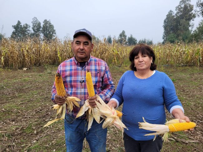 Segunda Temporada Recorriendo el Agro