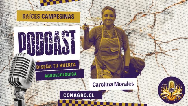 portada raices campesinas carolina morales portada carolina morales