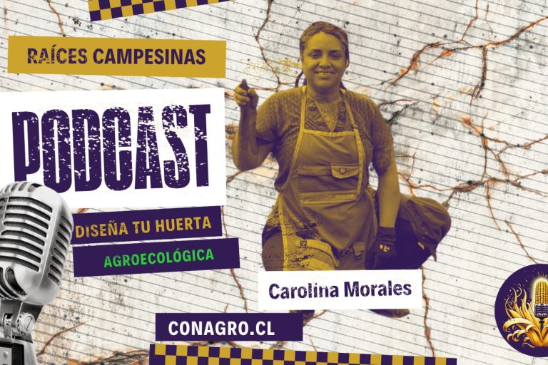 portada carolina morales