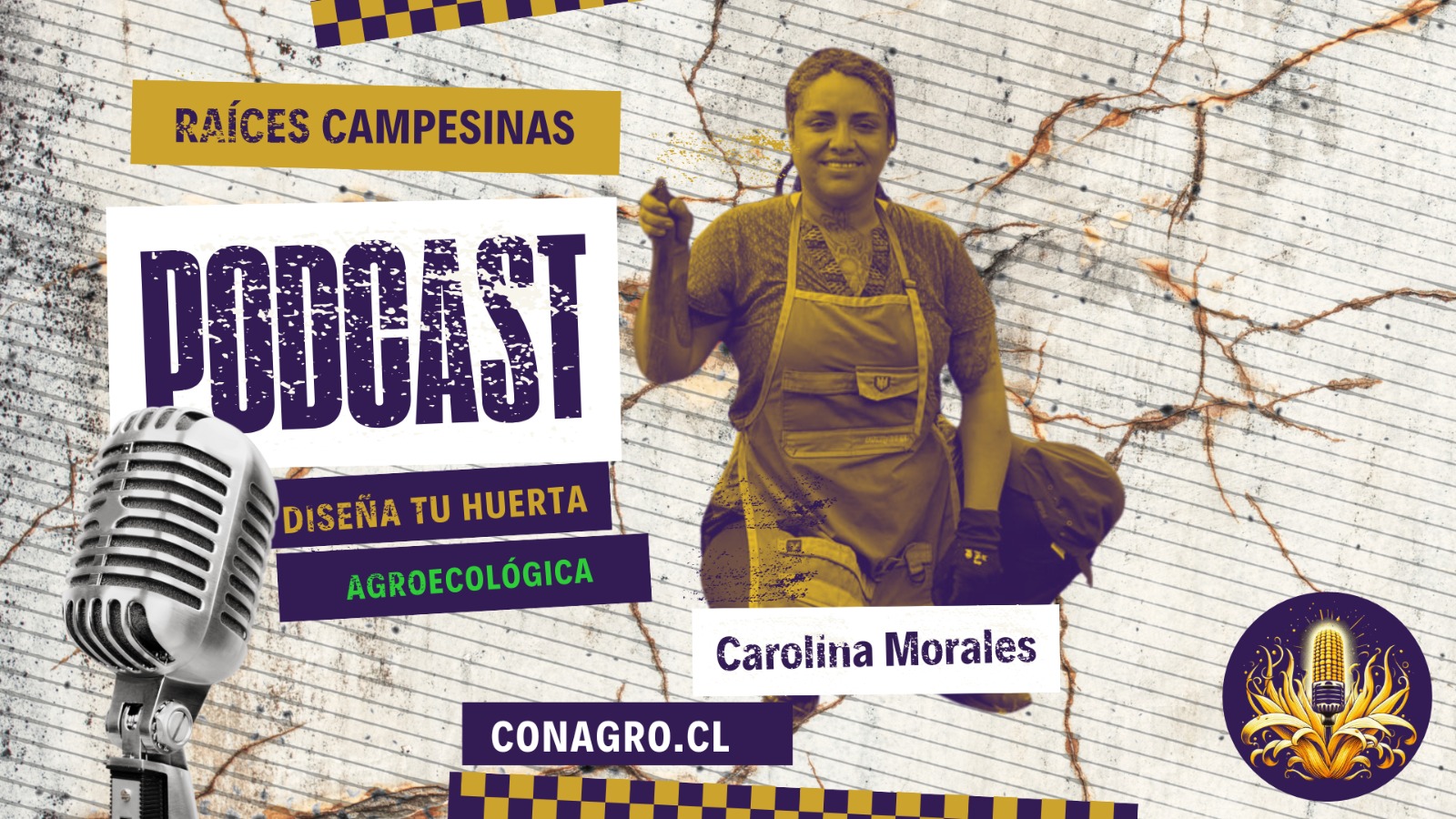 portada carolina morales