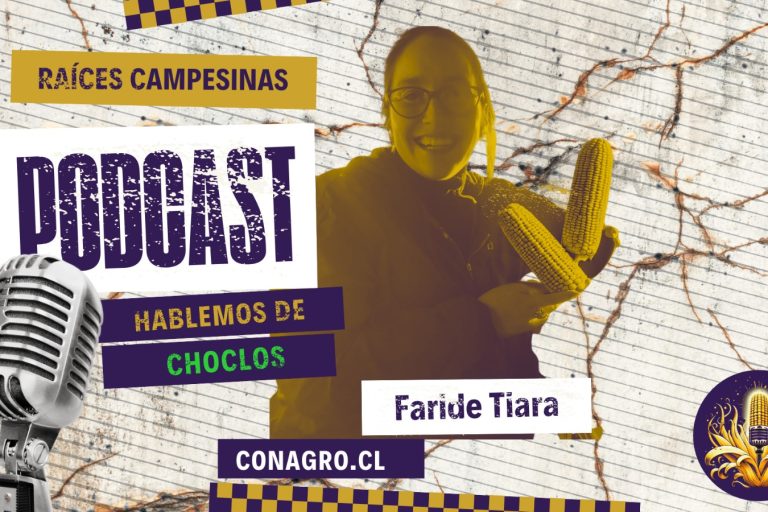 portada raices campesinas